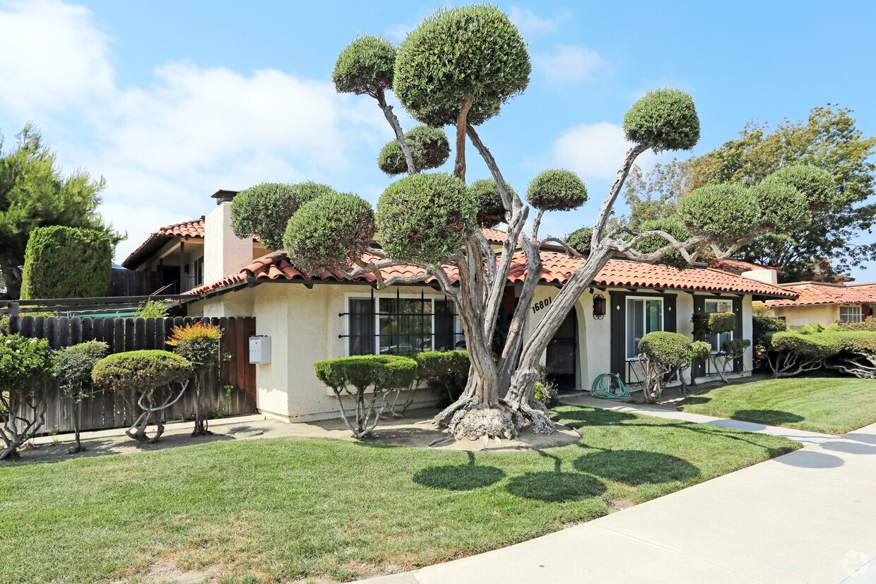 Primary Photo - 16801 Bardon Ln