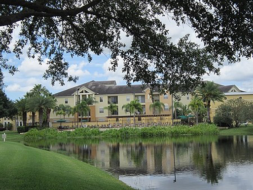 Arbors at Carrollwood Rentals - Tampa, FL | Apartments.com