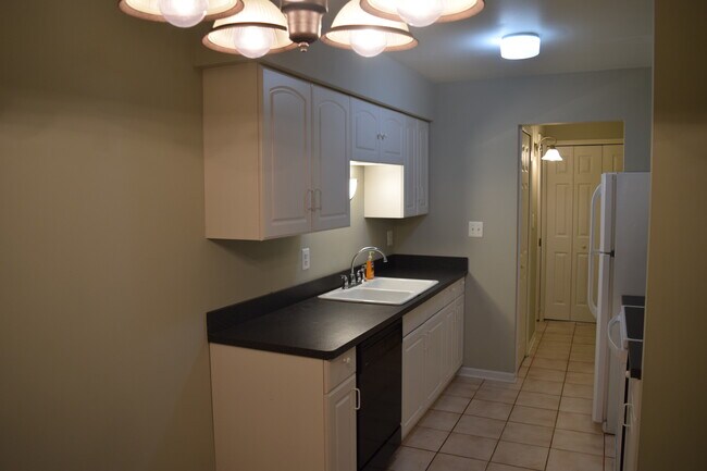 Kitchen pic1 - 24503 Olde Orchard St