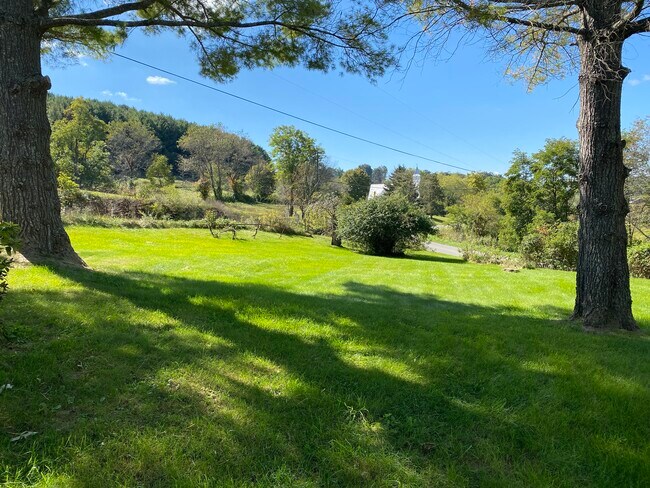Foto del edificio - 135 Crawfish Rd