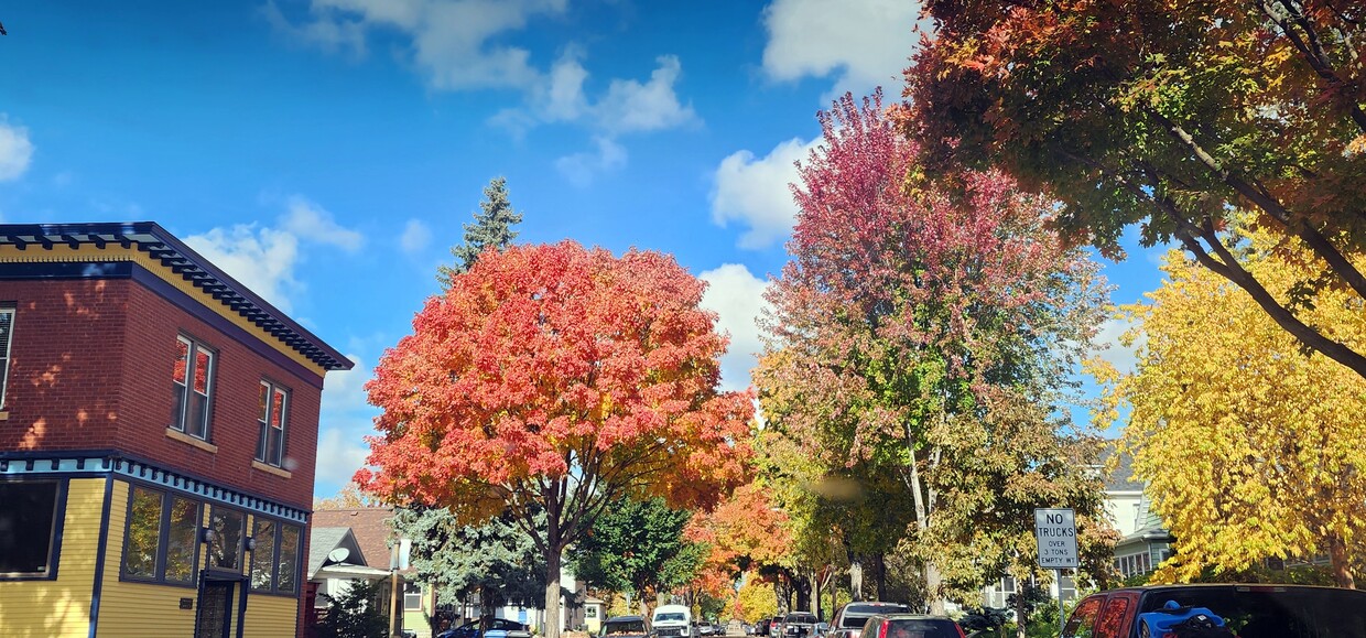 October Glow - 1901 -2301 Fillmore Street NE Minneapolis, MN 55418