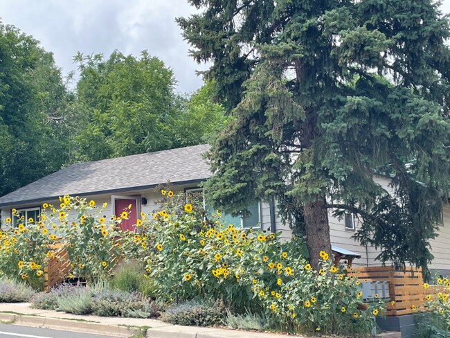 Foto del edificio - 2531 9th St