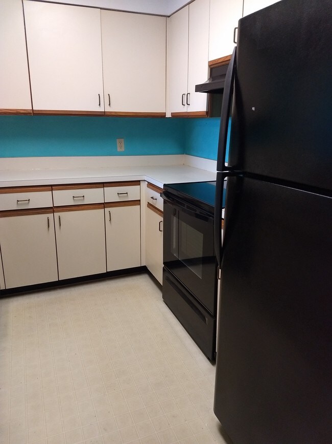 2333 Feather Sound Dr Unit C507, Clearwater, FL 33762 Condo for Rent