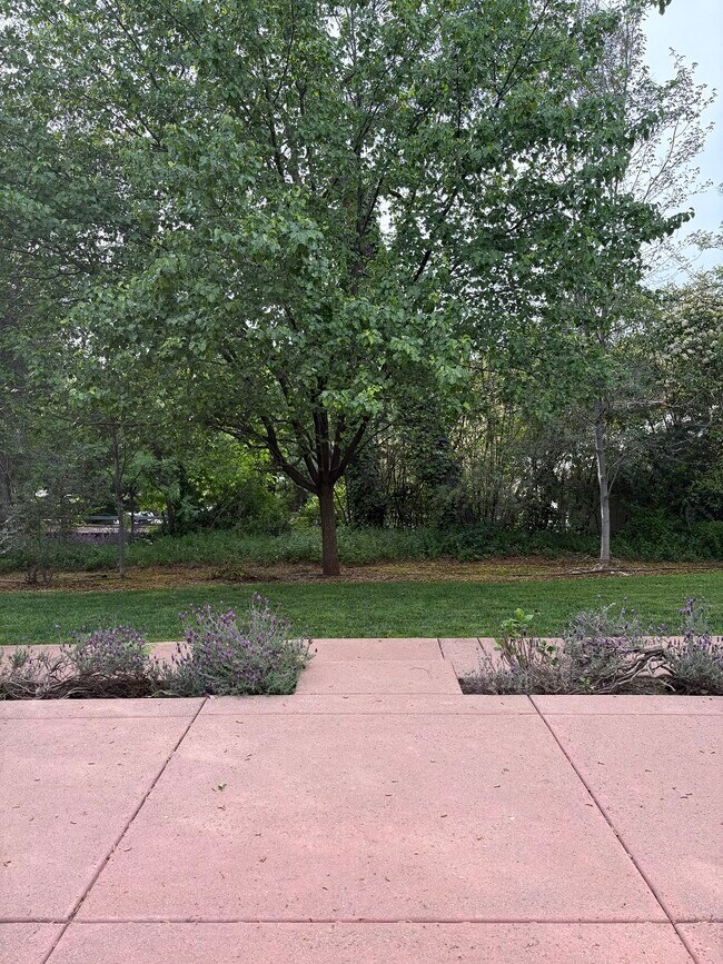 Patio privado con acceso al patio trasero común. - 80 College Way