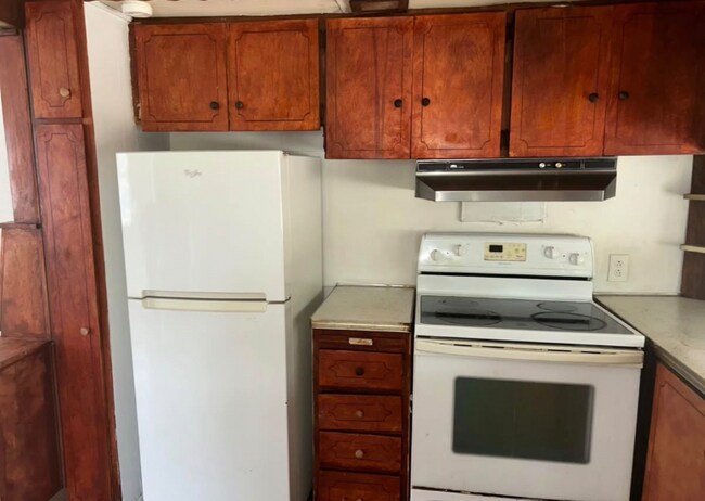 Foto del edificio - 435 Morningwood Ln