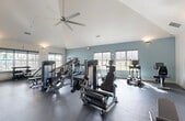 Located in Bonita Springs, Florida, this single-floor fitness center offers a comprehensive workout facility divided into two distinct zones. The main exercise area features soaring vaulted ceilings accented by a large ceiling fan, creating an open and airy atmosphere. Soft blue-gray accent walls complement crisp white surfaces throughout, lending the space a calm, modern aesthetic. Durable rubber flooring covers the main gym floor, providing both safety and functionality for heavy equipment use.

The primary workout area is outfitted with an extensive selection of True-brand strength machines, a full dumbbell rack, benches, treadmills, elliptical trainers, and a rowing machine. Multiple windows along the perimeter flood the space with natural light and offer views of the surrounding Florida landscape. Wall-mounted televisions and a water fountain add to the amenity-rich environment.

A secondary studio space features light hardwood-style flooring and floor-to-ceiling sliding glass doors that open to outdoor greenery, filling the room with natural light. This studio is equipped with cycling bikes, a wall-mounted TV, full-length mirrors, and an array of functional training tools including kettlebells, stability balls, a yoga mat, and resistance equipment — making it ideal for group classes or individual training sessions.