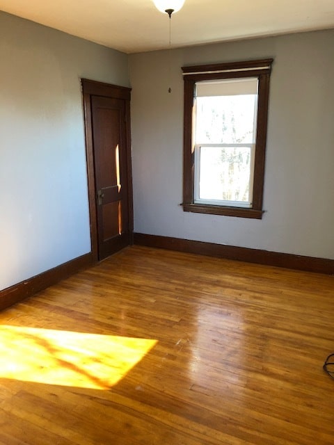 Bedroom 2 - 53 Pilgrim Ave