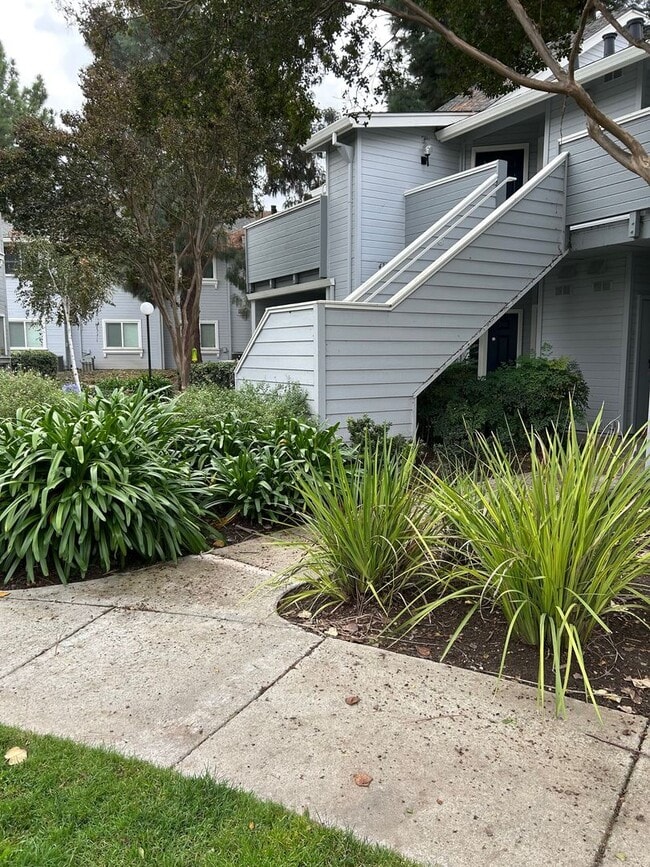 Spacious bright condo with new carpet and new paint and 2 bathrooms - Spacious bright condo with new carpet and new paint and 2 bathrooms