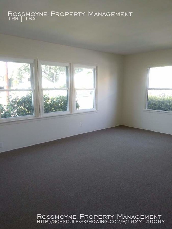 Foto del edificio - Large 1 Bedroom/1 Bathroom lower unit