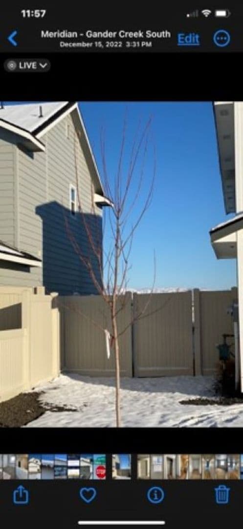 Foto del edificio - Gorgeous 4 bed 2.5 Bath Home with Communit...