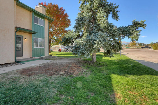 Building Photo - 2488 Washo Cir
