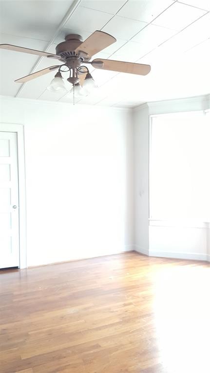 Building Photo - 1111 8th St
