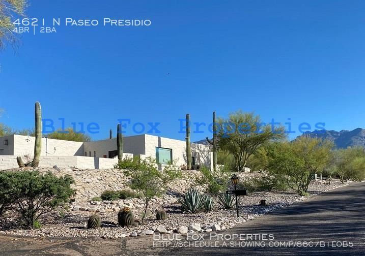 Primary Photo - Amazing 4 bedroom home in foothills