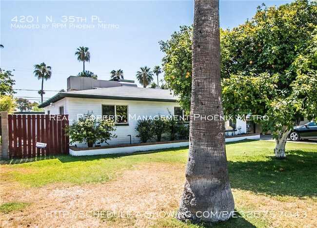 Building Photo - Perfectly Updated Mid Century Classic Home
