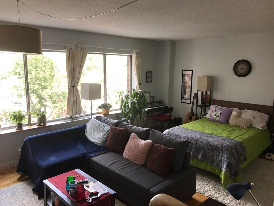 Foto principal - Bright and Spacious Brookline Studio