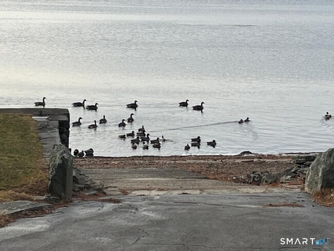 Foto del edificio - 71 Ellington Rd