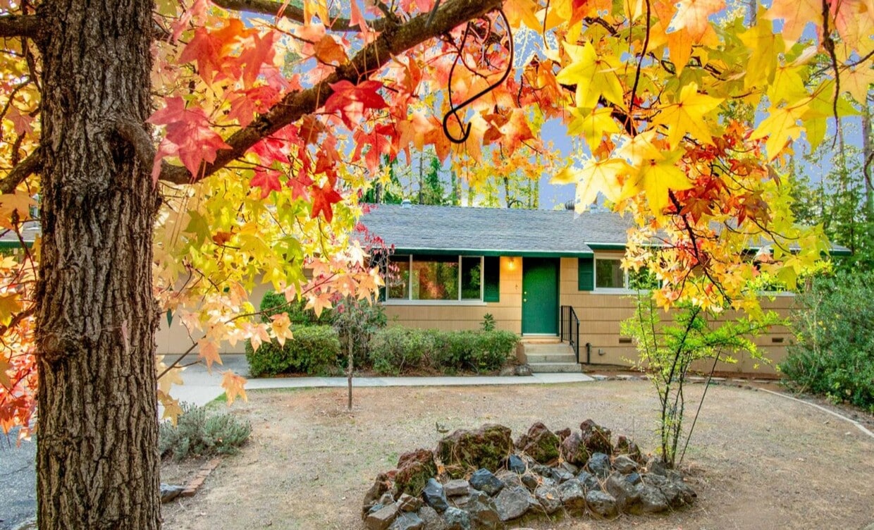Primary Photo - 3 Bedroom 1 Bathroom House Tucked in the T...