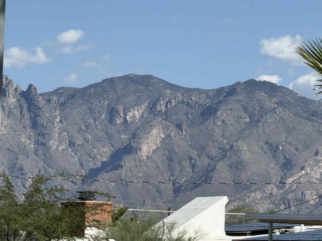 Building Photo - 1755 N 4th Ave