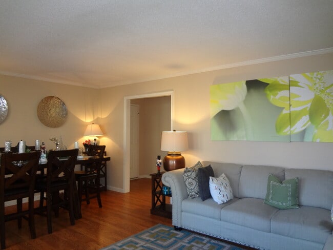 Living Room (view 2) - 1515 E Franklin St