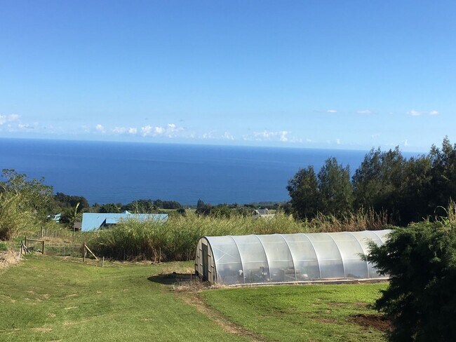 Foto del edificio - Ocean View with Sunrise View- 3 Bedroom 3 ...