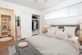Building Photo - SUR Apartments