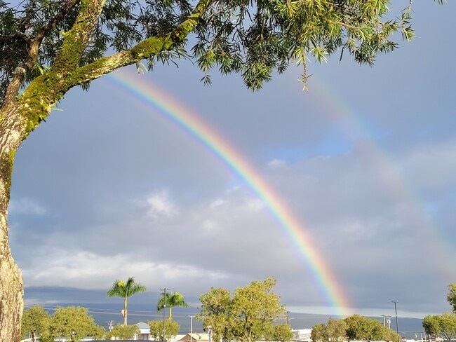 Morning Rainbows - 202 S Kalaheo Ave
