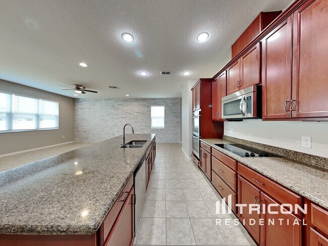 Building Photo - 10610 Aldo Moro Drive Wimauma FL