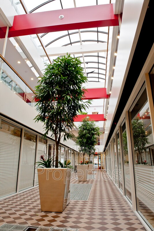 Foto del edificio - 110 Campbell Ave SW