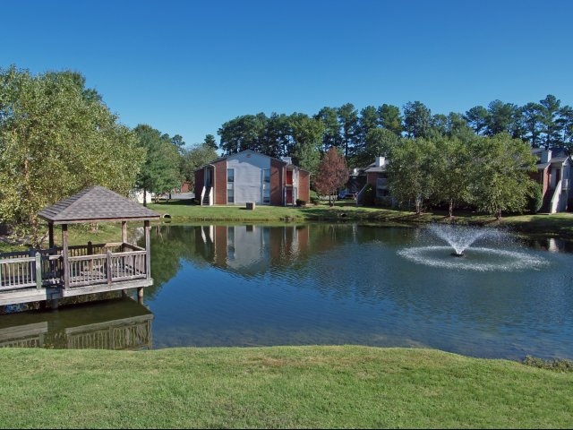 Pond - Forest Lake at City Center