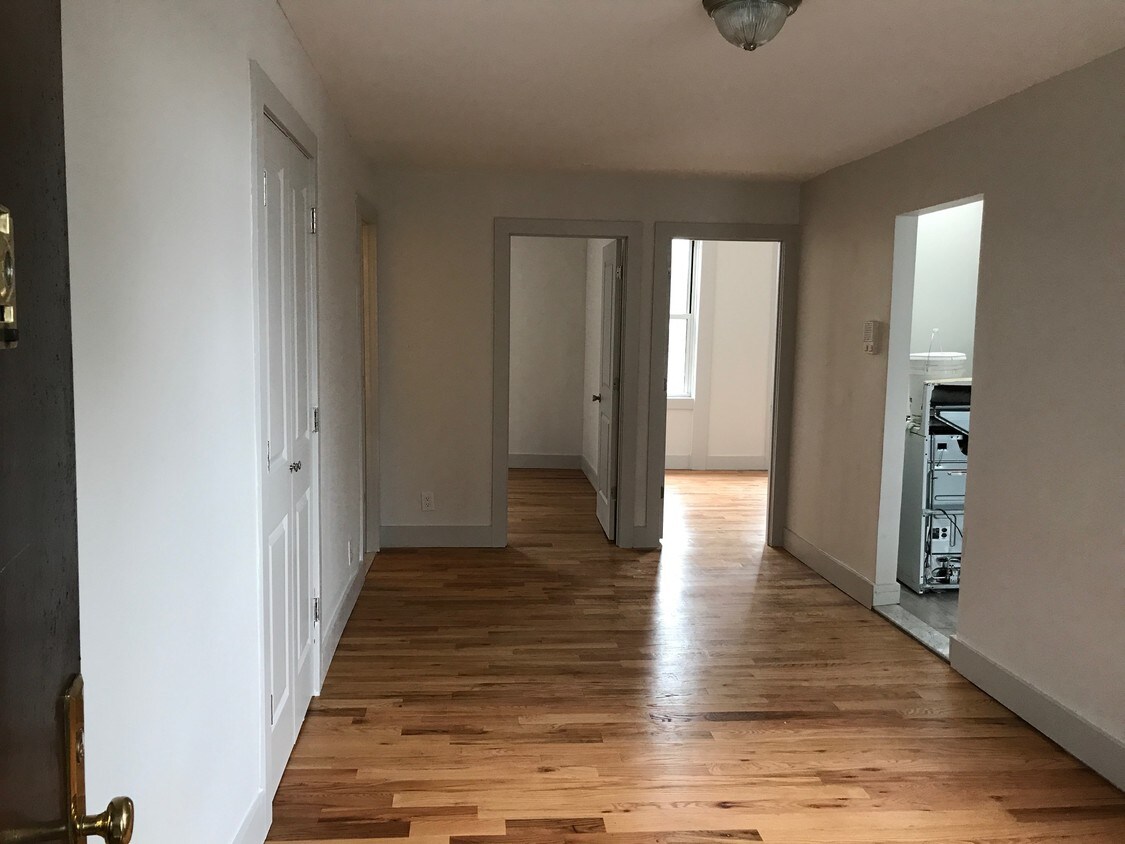 100 Elton St, Brooklyn, NY 11208 Apartments in Brooklyn, NY