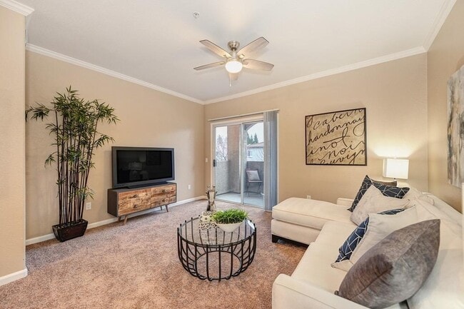 Foto del edificio - 10001 Woodcreek Oaks Blvd