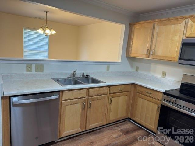 Building Photo - 8428 Panglemont Drive