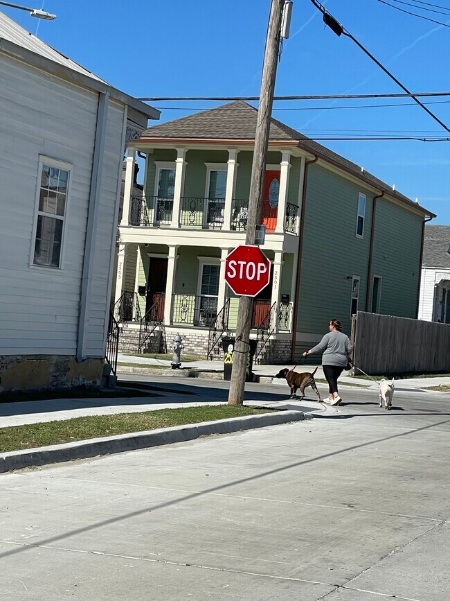 Freshly Paved Street - 2439 Second St