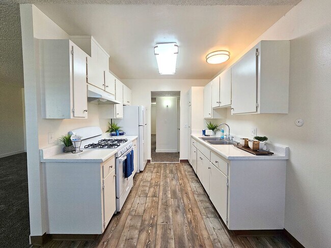 Foto del interior - Shady Terrace