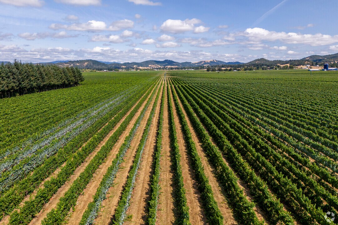 Roseburg