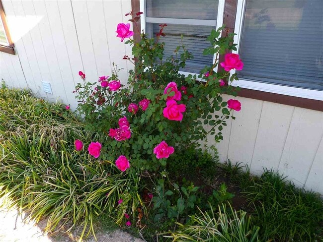 Foto del edificio - 2015 SW Jefferson Ave