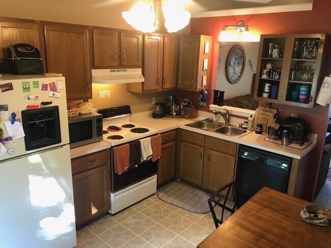 Building Photo - 3D Tour Available - Super Cute House with HUGE Fenced-in Yard! Available March 6th!