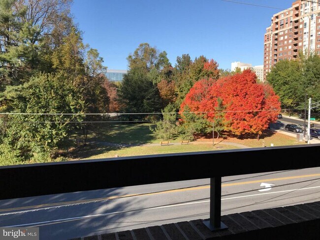 Foto del edificio - 11423 Commonwealth Dr