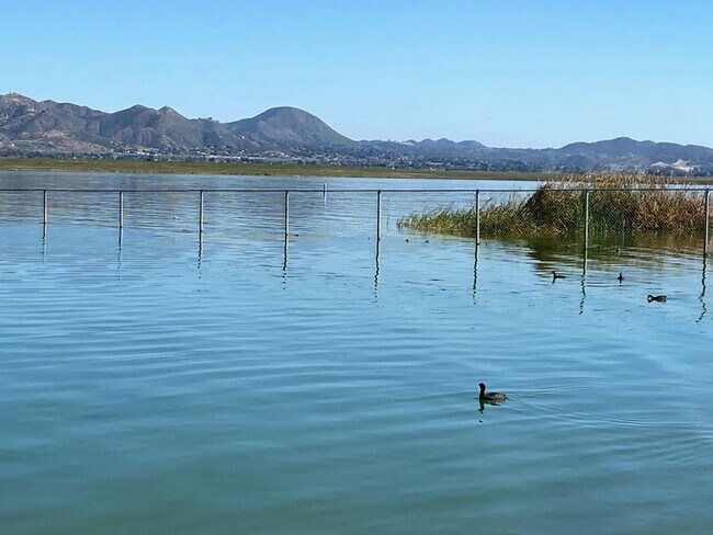 Foto del edificio - Lake Front House For rent