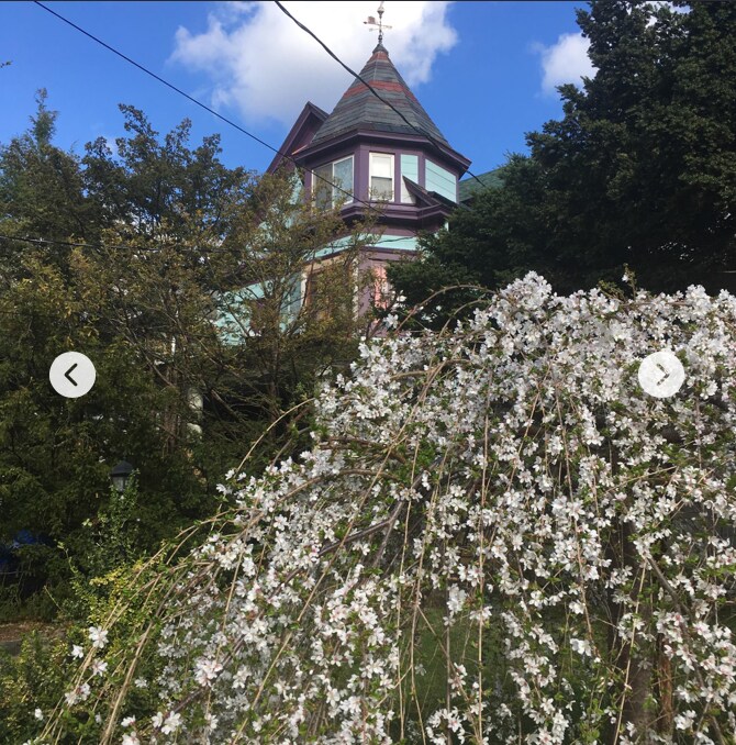 on Top of the world - 61 N Pine Ave