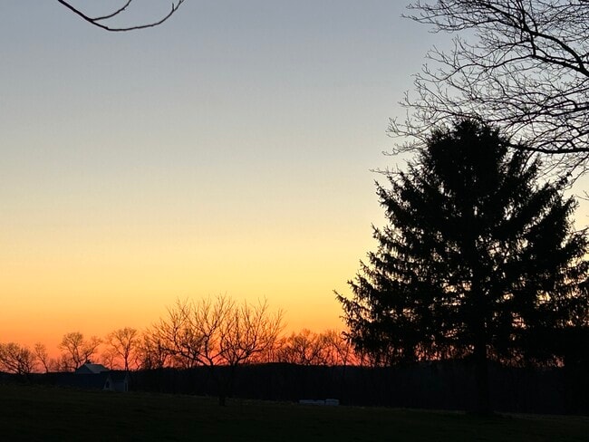 View at sunset out the kitchen window. - 203 Reibold Rd