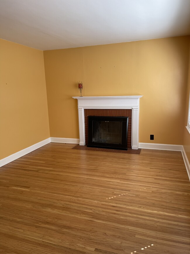 Living room - 1411 Falcon Dr