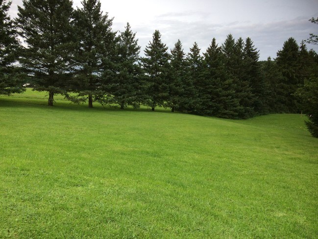 Front Yard1 - 129 Shultz Dr