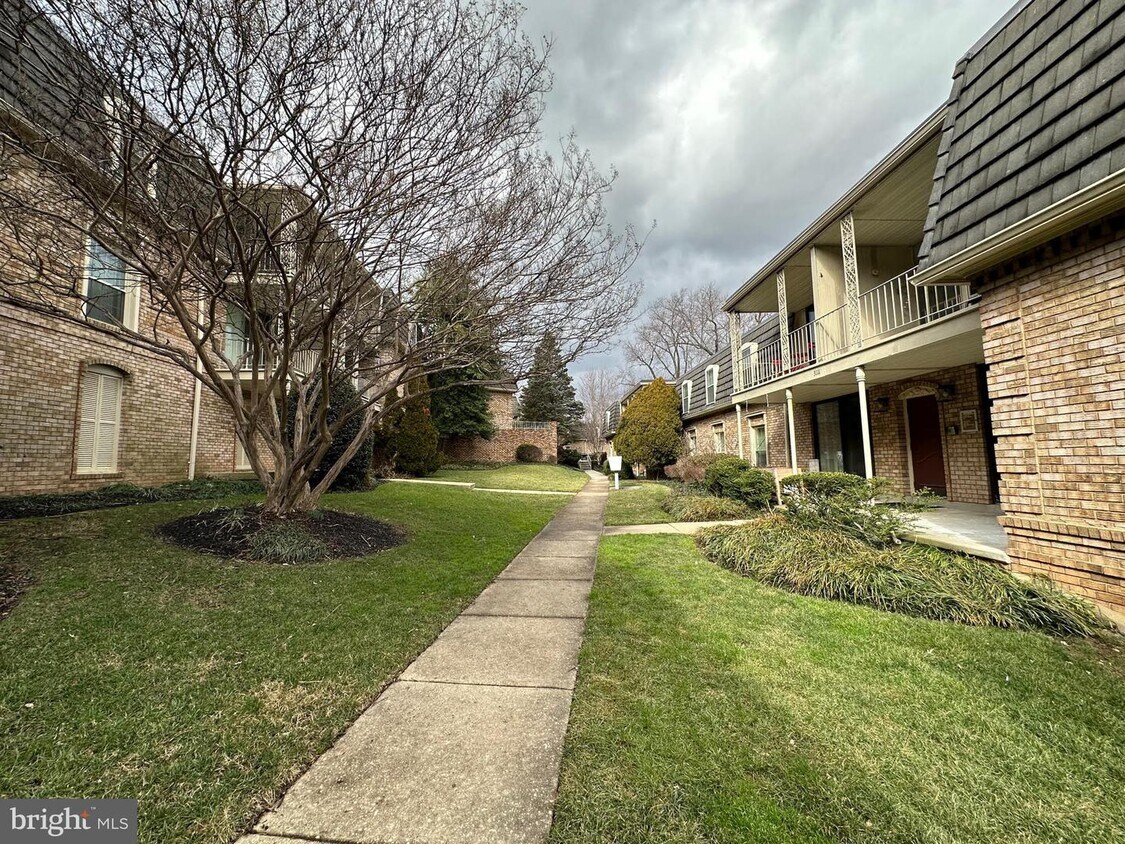 3111 Patrick Henry Dr Unit 624, Falls Church, VA 22044 Room for Rent in Falls Church, VA