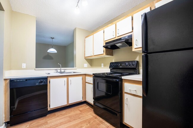 Interior Photo - Coral Falls