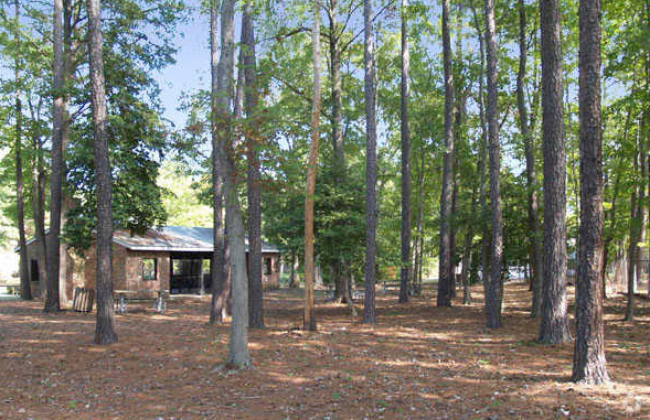 Picnic Area - Morningside Apartments