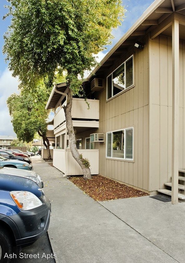 Primary Photo - 444-530-321-1444 Ash St