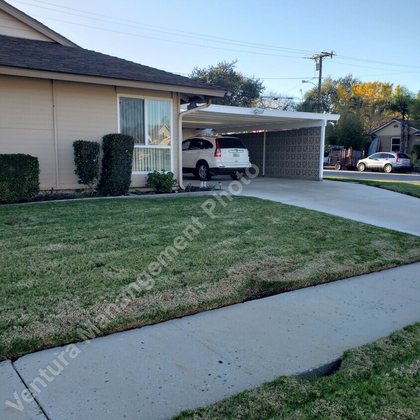 Primary Photo - 805 Medford Pl