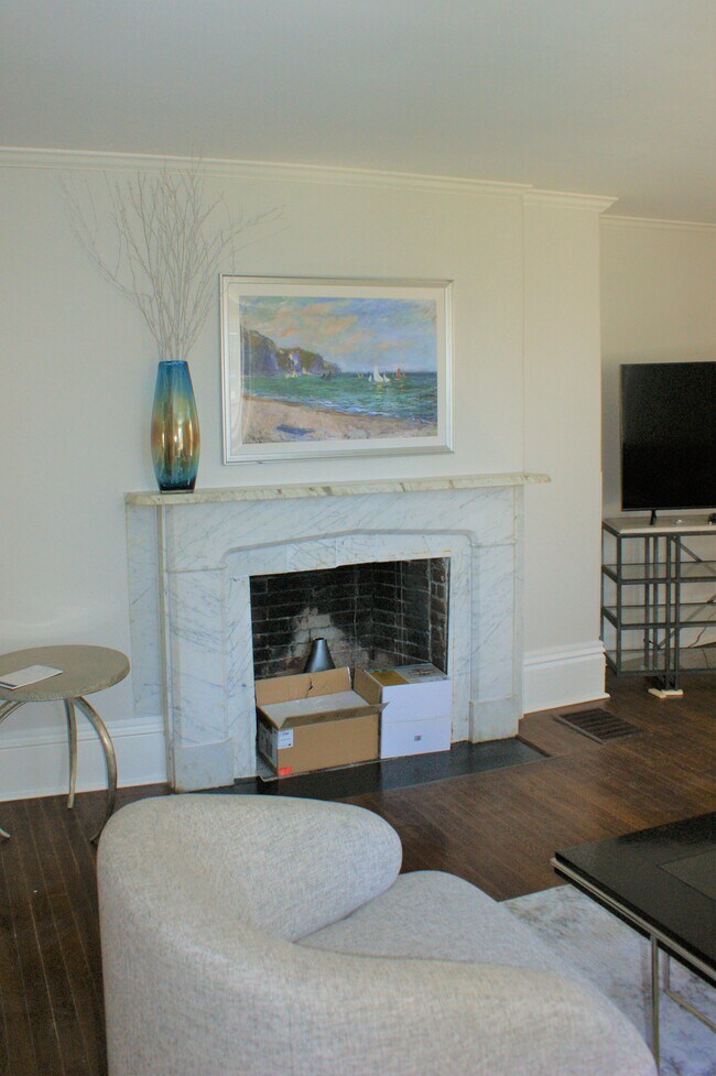 A decorative fireplace...boxes not included lol - 35 Coggeshall Ave