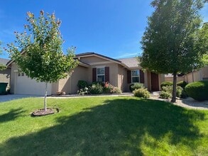 Building Photo - 10729 Amber Falls Dr